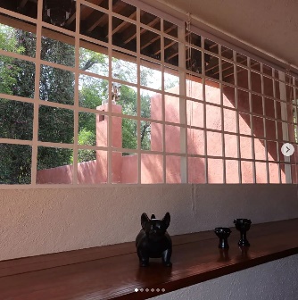 Un gato al lado de una ventana Descripción generada automáticamente con confianza media